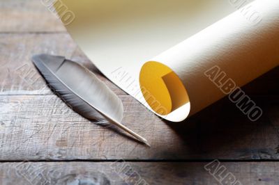 Scroll And Quill Scroll And Quill