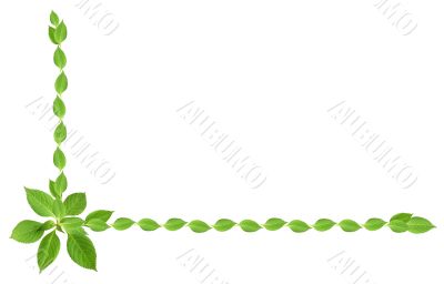 Leaves Frame
