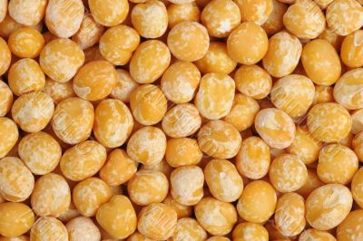 Pea, isolated Pea, isolated