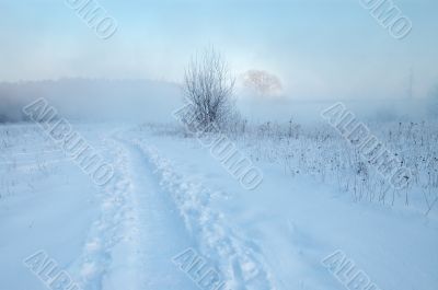 Frosty winter morning