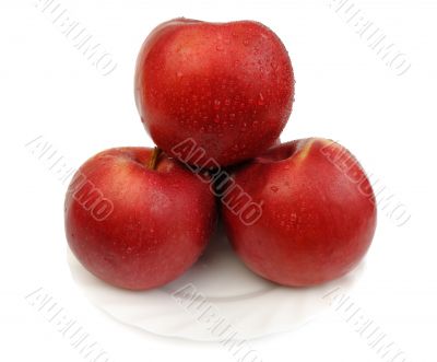 Red apples, isolated Red apples, isolated