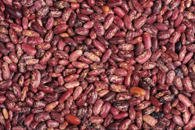 Spotted beans, isolated
