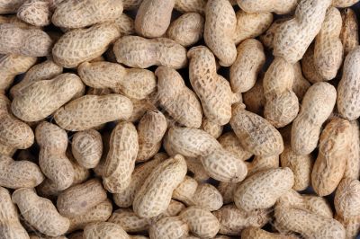 Peanuts 