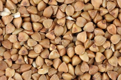 Buckwheat Buckwheat
