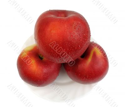 Red apples, isolated