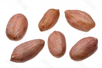 Peanuts.