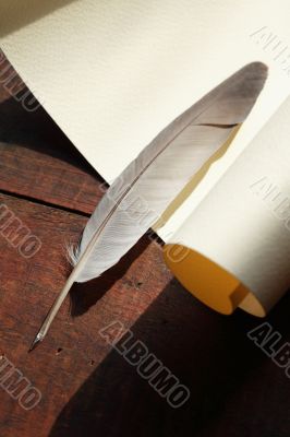 Scroll And Quill