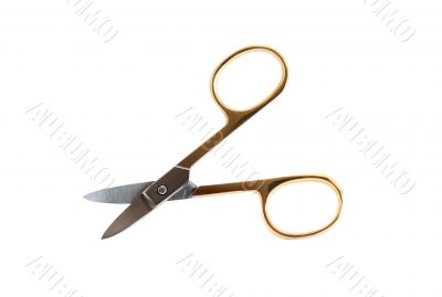 Manicure Scissors On White