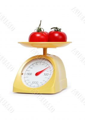 Tomatoes Weighing