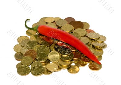 Pepper Chile in Euro coins 