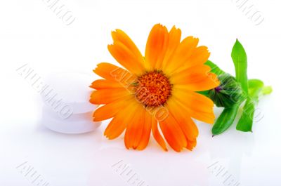 Flower marigold medical with pills over white background 