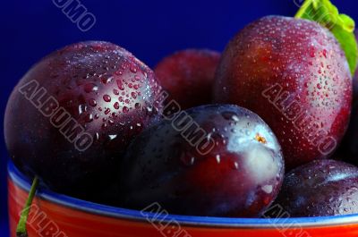 Plums. Fresh ripe washed plums in a ceramic bowl close-up on a b