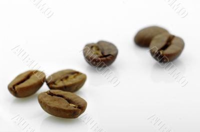 focus on a coffee bean 