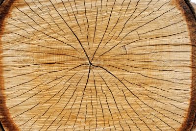Saw cut Saw cut
