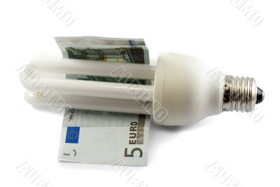 saving fluorescent lamp