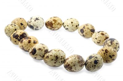 eggs eggs