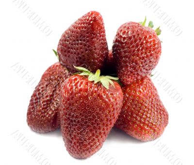 strawberries strawberries