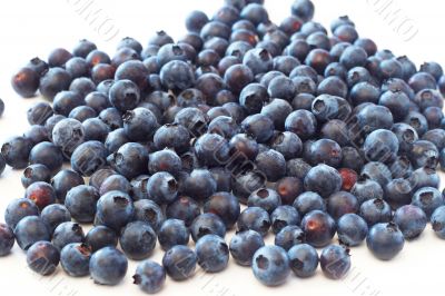 Blueberries on white background