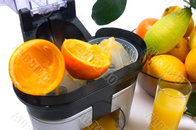 machine for pressing citrus