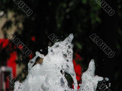 water fountain water fountain