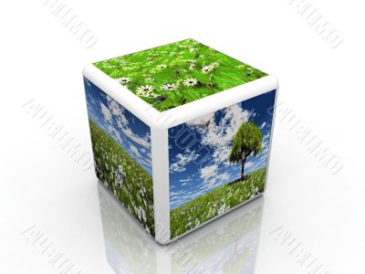 natur box