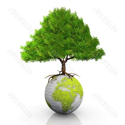 Earth and tree Earth and tree