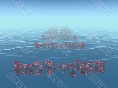 red flowers in water