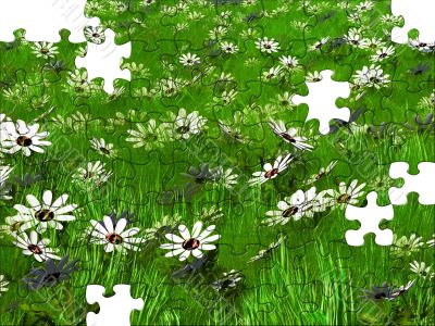 meadow puzzle