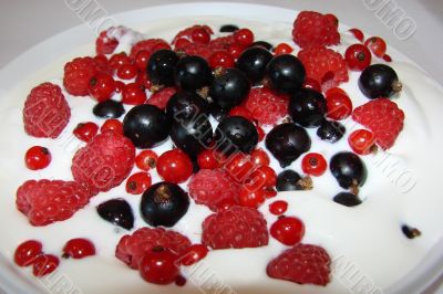 berry ice cream berry ice cream