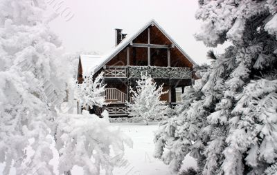Cottage in winter.