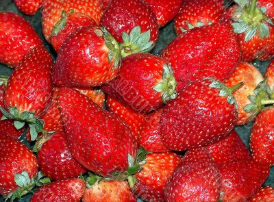 fresh strawberries	 