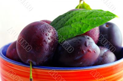 fresh plums 