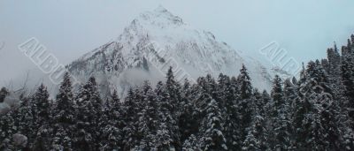 Caucasus mountains, winter forest and white clouds