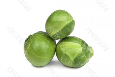 brussel sprouts