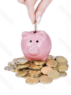 piggy bank piggy bank