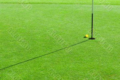 Golf ball on the green grass Golf ball on the green grass