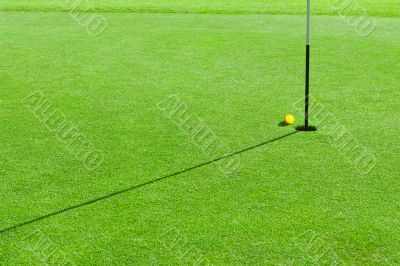 Golf ball on the green grass