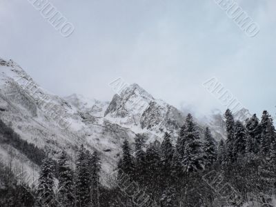 Caucasus mountains, winter forest and white mist
