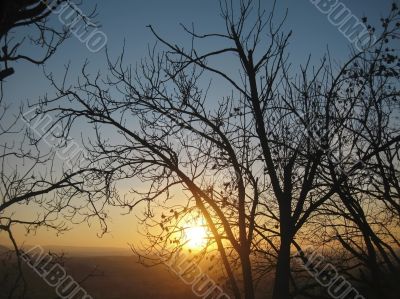 Autumn sunset middle the trees. Fall in Pyatigorsk