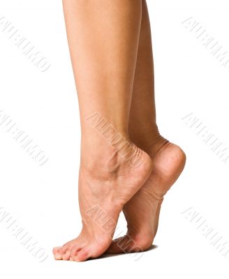 Sexy Women Legs Sexy Women Legs