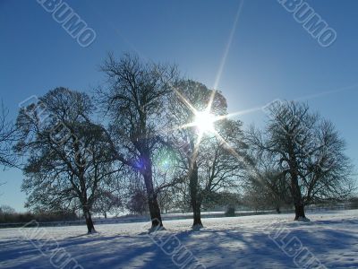 Christmas Snow and Sun