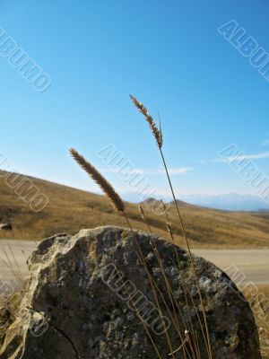 Big lonely stone near the road. Caucasus landscape