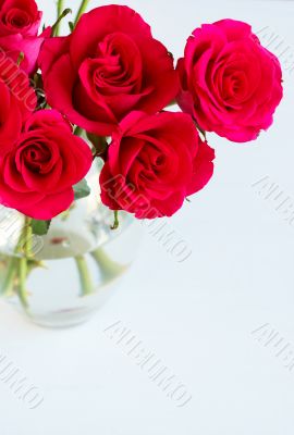 Bunch of pink roses in a vase