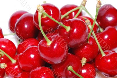 many cherries large view