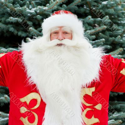 Portrait of Santa Claus standing with open hands outdoors at chr