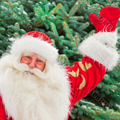 Portrait of natural Santa Claus standing at Christmas Tree outdo