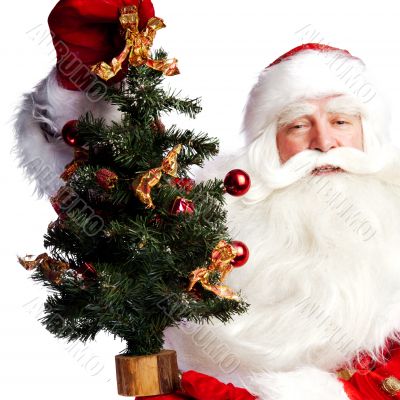 Christmas theme: Santa Claus holding christmas tree and his bag 