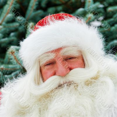 Portrait of natural Santa Claus standing at Christmas Tree outdo