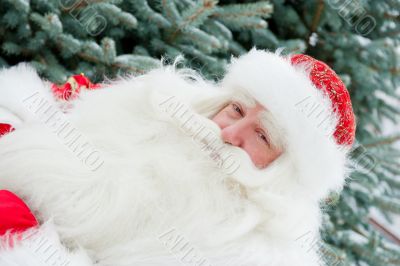 Portrait of natural Santa Claus standing at Christmas Tree outdo