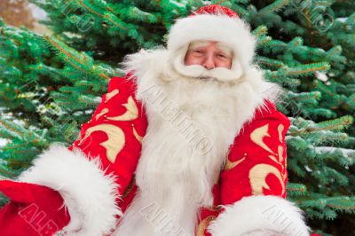 Portrait of natural Santa Claus standing at Christmas Tree outdo